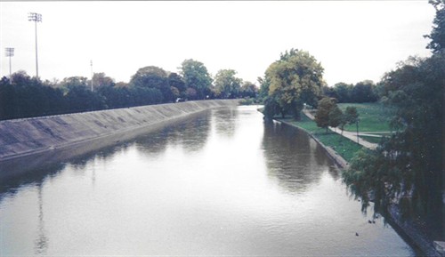 Image1