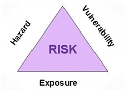 Crichton Risk Triangle
