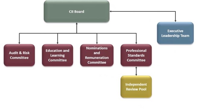 Governance structure of CII